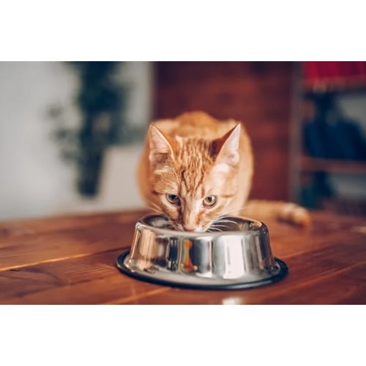 Whiskas 1+ Thunfisch, Katzen-Trockenfutter mit Knackits und Omega-Fettsäuren, 14 kg – Bild 5
