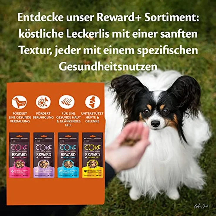 Wellness CORE Reward+ Pute, 170 g, getreidefreie Hundeleckerli mit hohem Fleischanteil, ohne Zuckerzusatz, fördert Mobilität & Gelenkgesundheit – Bild 5