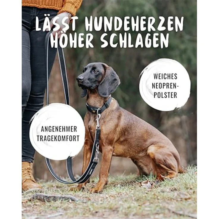 Rudelkönig Hundehalsband Paola, Verstellbares refl. Nylonhalsband für kleine Hunde und Welpen, schwarz – Bild 5