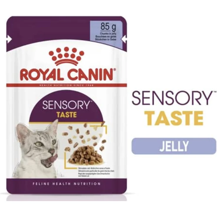 Royal Canin Sensory Taste in Gelee, Katzen-Nassfutter mit zartem Huhn, 12 x 85 g – Bild 4