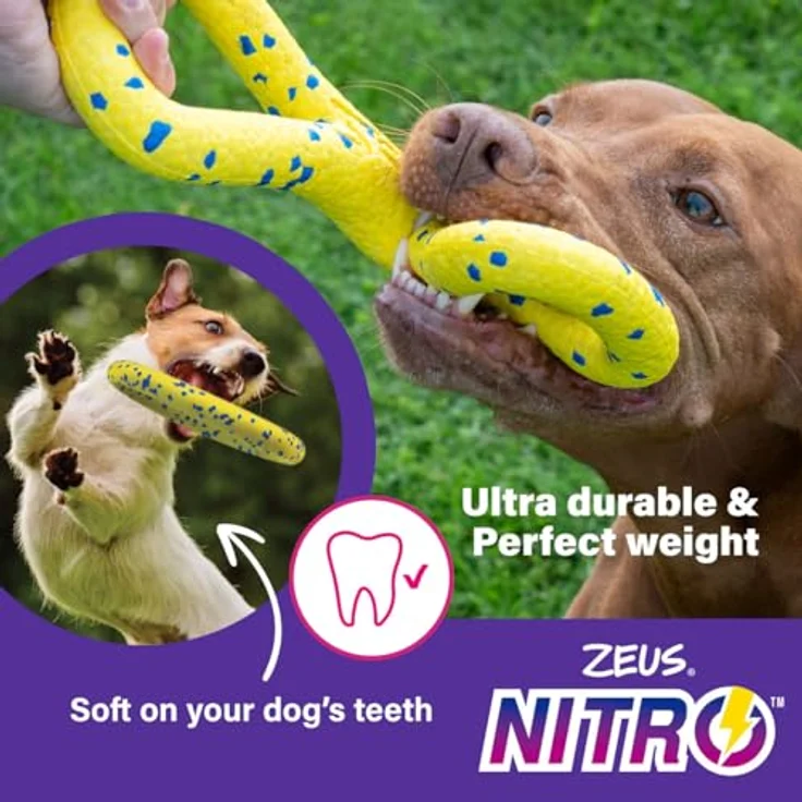 Zeus Nitro Flying Disc, Ø24cm, FDA-zugelassen, spülmaschinengeeignet, flexibel und robust für Hunde und Welpen – Bild 5