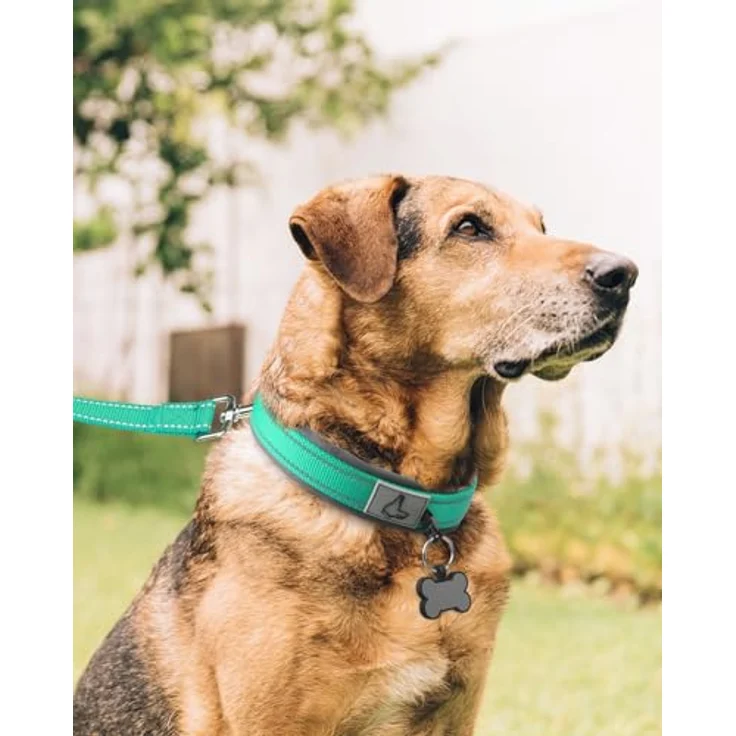 Joytale Halsband Hund, gepolstertes Neoprenhalsband für extra große Hunde, reflektierend, türkis – Bild 3