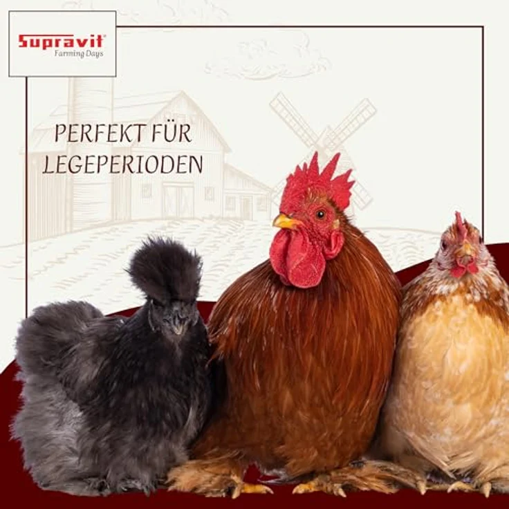 Supravit Legemehl für Hühner 25kg, GVO-frei, für stabile Eierschalen und hohe Legeleistung, mehrfach gereinigtes Legekorn – Bild 5