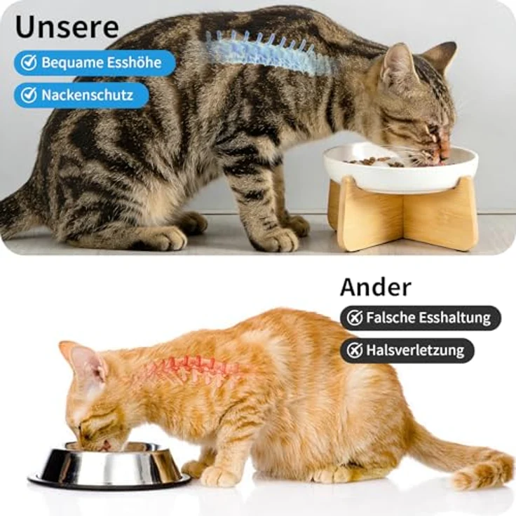 unbholkk Anti Schling Napf Katze Erhöht, Keramik Antischlingnapf mit rutschfestem Bambusgestell für langsames Fressen von Nass- und Trockenfutter für Katzen und kleine Hunde – Bild 3