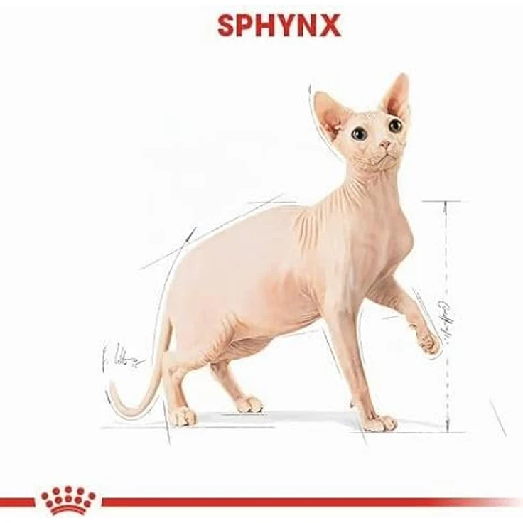 Royal Canin Sphynx Adult, Katzenfutter für haarlose Katzenrasse, 2 kg, hohe Energiedichte und Hautschutz – Bild 6