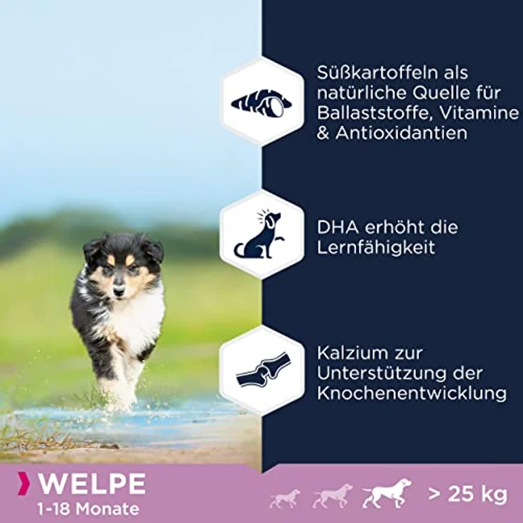 Eukanuba Welpenfutter getreidefrei mit Huhn für große Rassen, Trockenfutter ohne Getreide für Junior Hunde, 3 kg, reich an frischem Huhn, unterstützt Knochen- und Gelenkentwicklung – Bild 4