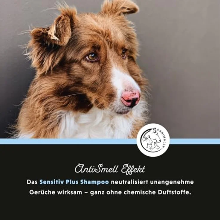 Annimally Sensitiv Plus Shampoo, Natürliches Hundeshampoo für sensible Hunde & Welpen, Sanfte & pH-neutrale Reinigung mit Kokosöl, Ohne Silikone, Parabene & künstliche Duftstoffe, 500 ml – Bild 4