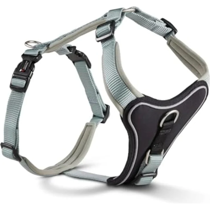 Wolters Geschirr Professional Comfort, Größe:60-70 cm, Farbe:Salbei grün – Bild 2