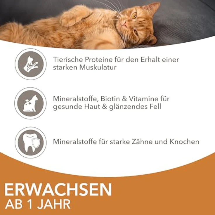 IAMS Delights Katzenfutter Nass mit Huhn & Pute in Sauce, Multipack für Erwachsene Katzen, 24 x 85g, 99% tierische Proteine, ohne künstliche Zusatzstoffe – Bild 4