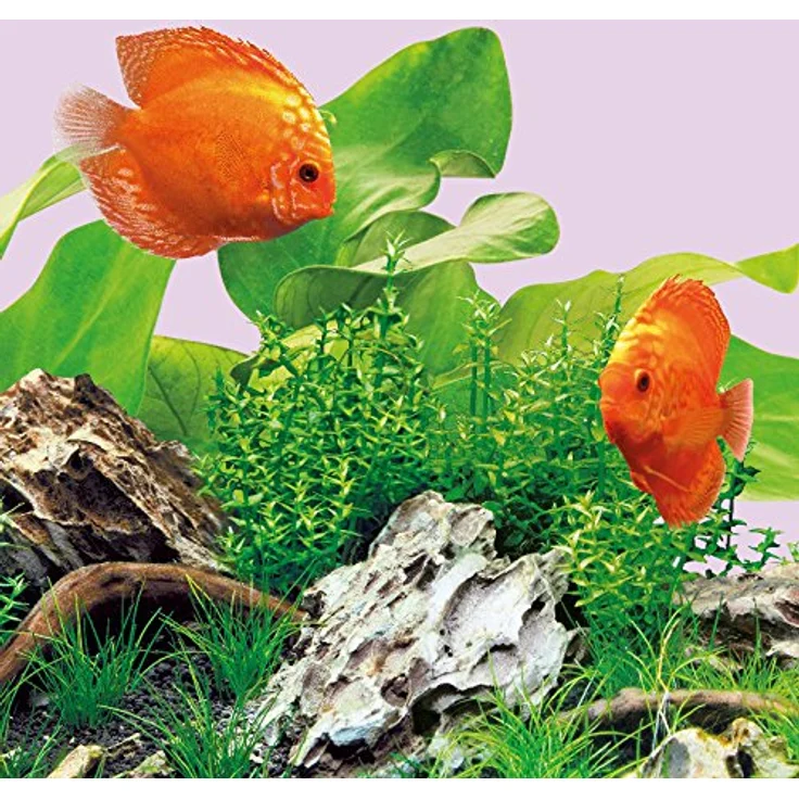 Juwel Aquarium LED Color, energiesparende 14 W LED-Aquariumbeleuchtung zur Betonung von Blau- und Rottönen – Bild 3
