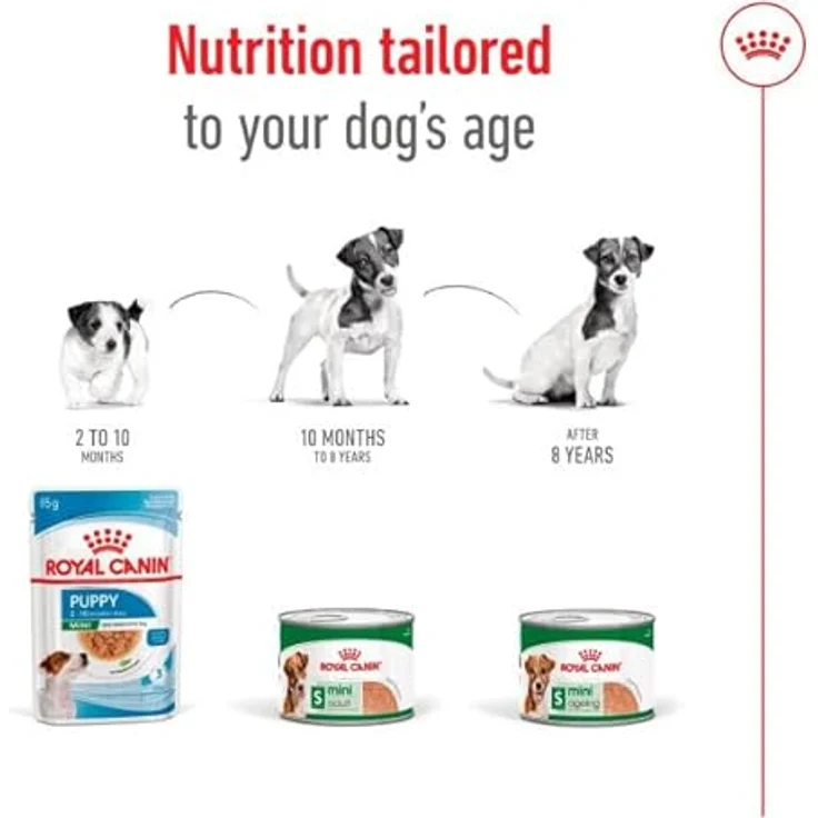 Royal Canin Mini Ageing 8+, 12 x 195 g, Alleinfuttermittel für kleine Senior Hunde bis 10 kg, Unterstützung für Gesundheit und Vitalität, nährstoffreiche Rezeptur mit Vitaminen und EPA & DHA – Bild 5