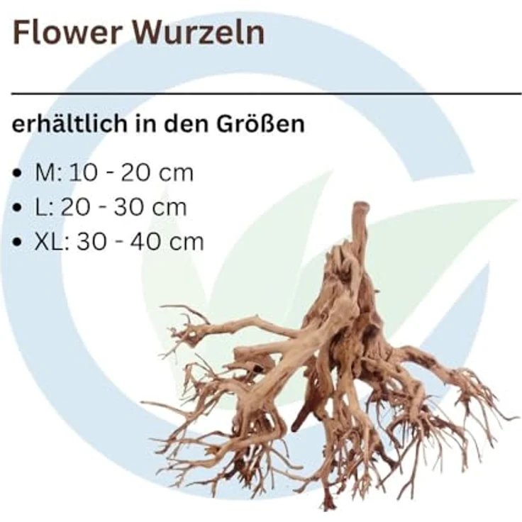 Aquaone Flower Wurzel XL, Aquarium Deko-Wurzel 30-40 cm, natürlicher Sichtschutz aus Asien – Bild 2