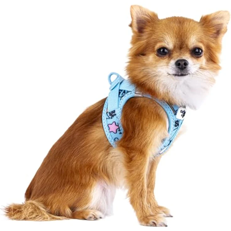 Curli Clasp Vest Geschirr Limited Edition 25, Hunde-Geschirr mit Air-Mesh-Material, schwarzer Comic-Design, reflektierenden Streifen und innovativem Clasp-Verschluss – Bild 3