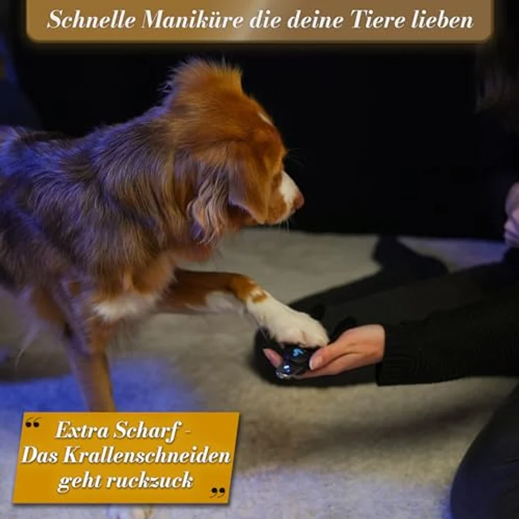 BluePet Krallenschere mit Schutz für Hunde & Katzen, Einsteigerfreundlich, inkl. integrierter Krallenfeile, sicherer Halt für kleine & große Krallen – Bild 3
