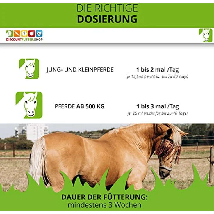 ESTELLA Bronchialsaft für Pferde 1 L, Kräuterextrakt mit Fenchel, Holunder- & Lindenblüte, Hibiskus | Unterstützung bei Husten und verschleimten Atemwegen – Bild 3
