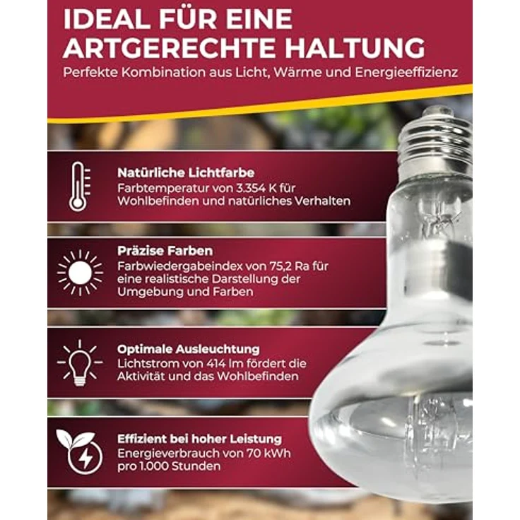 HOBBY Terraristik UV Eco vital, UV-Lampe für Terrarien, 70 W, energieeffiziente Mischlichtlampe mit UVB-Abgabe, langlebig und kosteneffizient – Bild 4