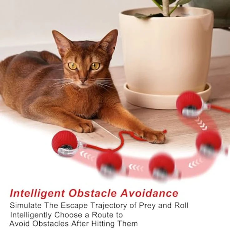 WinGluge Interaktives Katzenspielzeug - 360° Rolling Smart Ball, Automatischer Rollender Ball für Katzen, 2 Stück (Rot+Grün) mit intelligentem Bewegungsmodus und drei Spielmodi – Bild 4