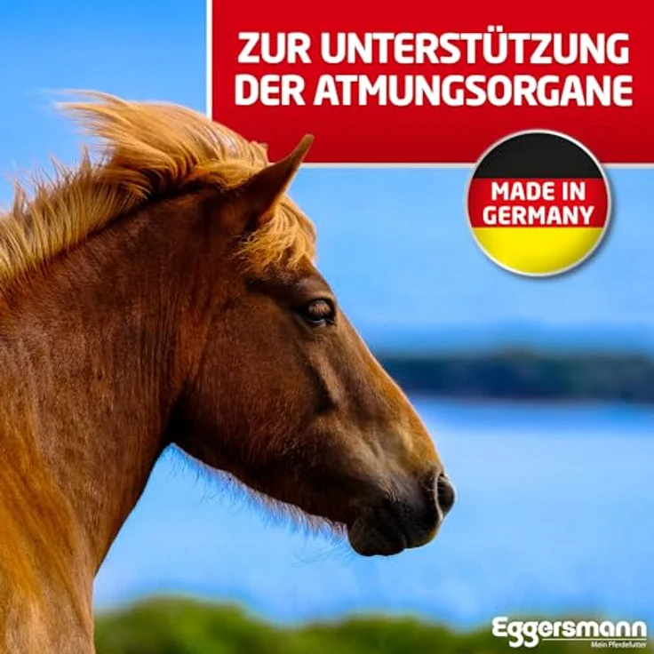 Eggersmann Mein Pferdefutter Profi Bronchial Pellets, 1 kg - Ergänzungsfuttermittel mit Kräutern, Vitaminen & Mineralstoffen für staubempfindliche Pferde – Bild 4