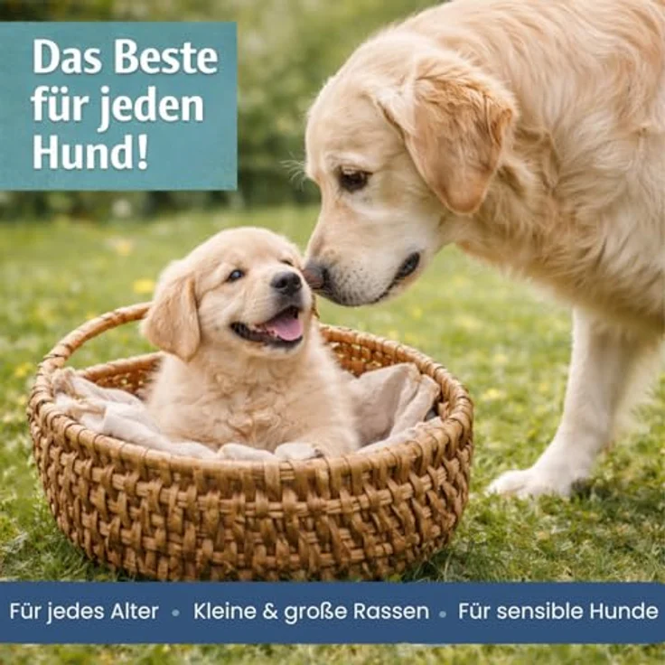 PetLove Fleisch Softies für Hunde, Hundeleckerli ohne Getreide, 63% Fleischgehalt, Kaninchen, 200g – Bild 5
