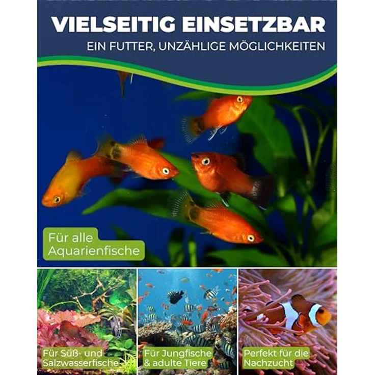 HOBBY Aquaristik Artemia Eier, 150 ml, Lebendfutter zur Zucht von Artemia-Nauplien, nährstoffreiche Ernährung für Aquarienfische – Bild 5