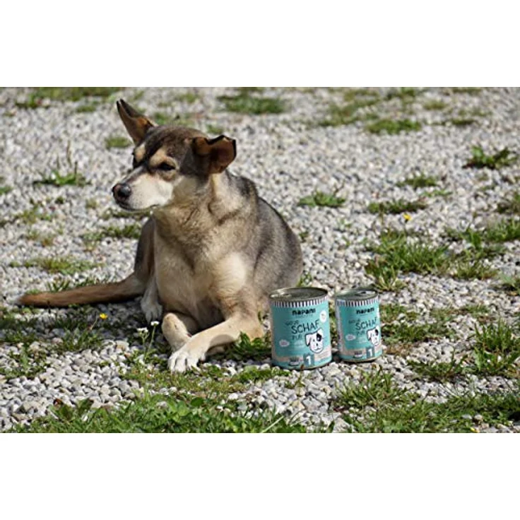 napani Premium Hundefutter Nass Schaf Pur, 100% Schaf, glutenfrei, getreidefrei, allergiefreundlich, 1 x 150g – Bild 3