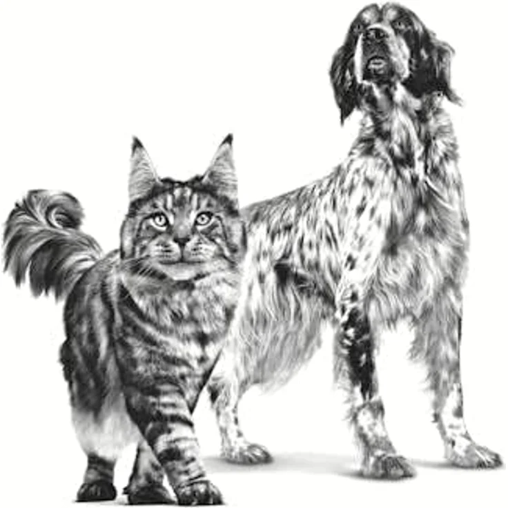 Royal Canin Veterinary Recovery Ultra Soft Mousse, 12 x 195 g, Diät-Alleinfuttermittel für Hunde und Katzen mit hohem Proteingehalt – Bild 5