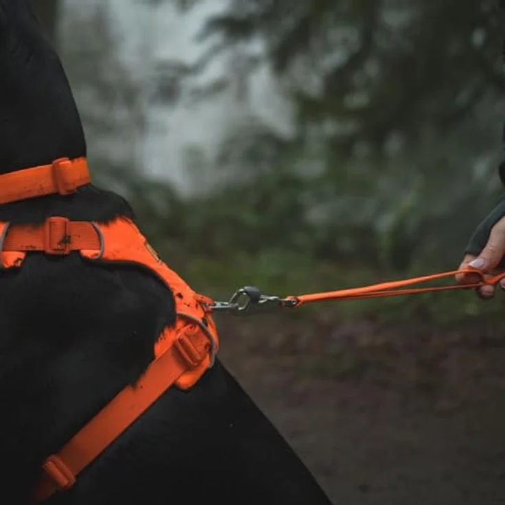 Ruffwear Front Range Hundeleine, 1,5 m mit gepolstertem Griff und Verkehrsgriff, Blaze Orange – Bild 4