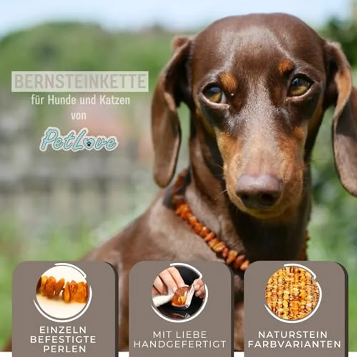 PetLove Bernsteinkette für Hunde und Katzen, 100% baltischer Bernstein, Länge: 50cm, handmade, stabil und flexibel – Bild 4