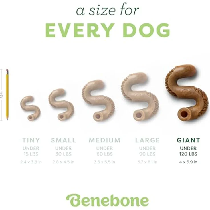 Benebone Tripe Bone, Langlebiges Hunde-Kauspielzeug für aggressive Kauer, echtes Rindfleisch, riesig – Bild 4
