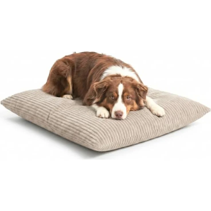 4L Textil Molly Hundebett, waschbares Hundekissen aus Cord, beidseitig nutzbar, für kleine und mittelgroße Hunde – Bild 2