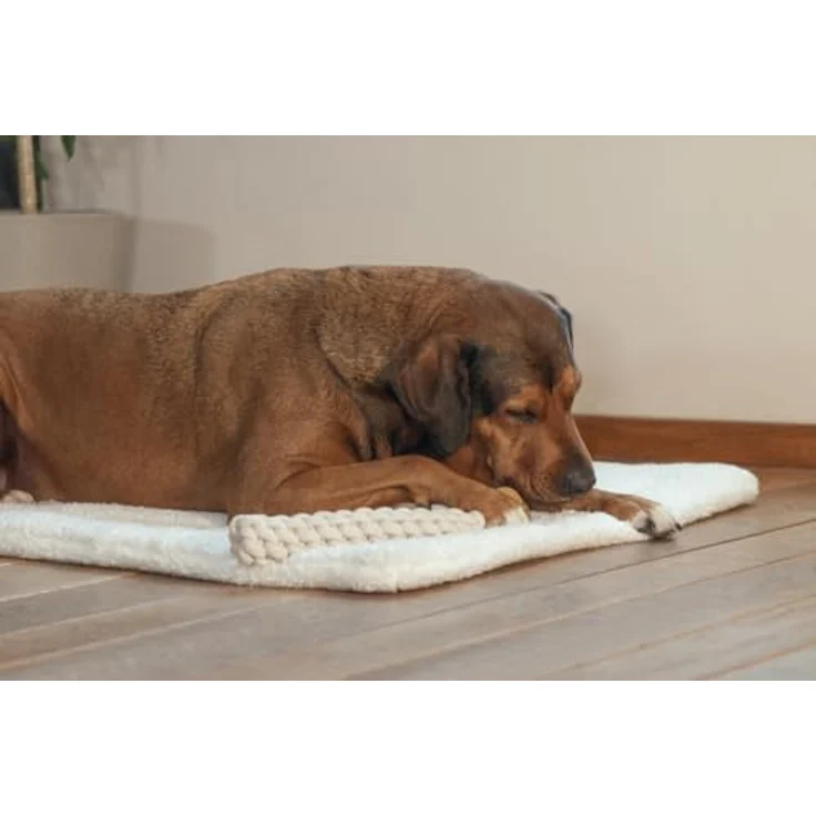 Beeztees Osa, Hundespielzeug aus Baumwolle und Kaffeeholz, Größe M, 34 cm, ideal für stundenlangen Spielspaß – Bild 3
