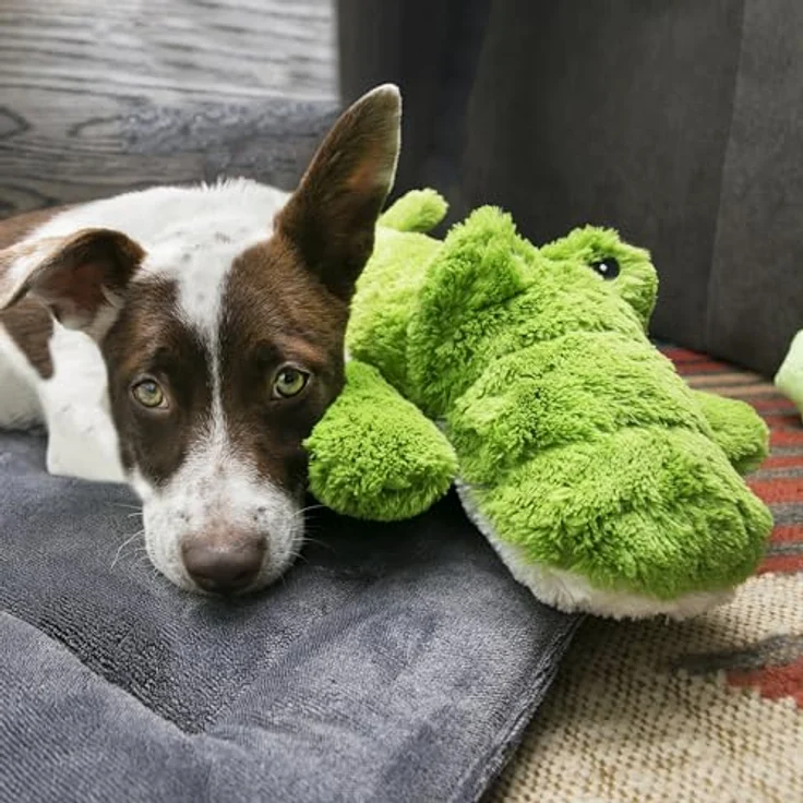 KONG Cozie Ali Alligator, robustes Plüschkrokodil für Hunde, 2er Sparset, grün, 33 x 31 x 12 cm – Bild 2