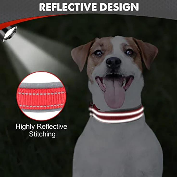 Joytale Hundehalsband, Gepolstertes Neoprenhalsband für kleine Hunde, Nylon Reflektierend, Breite: Rot – Bild 4