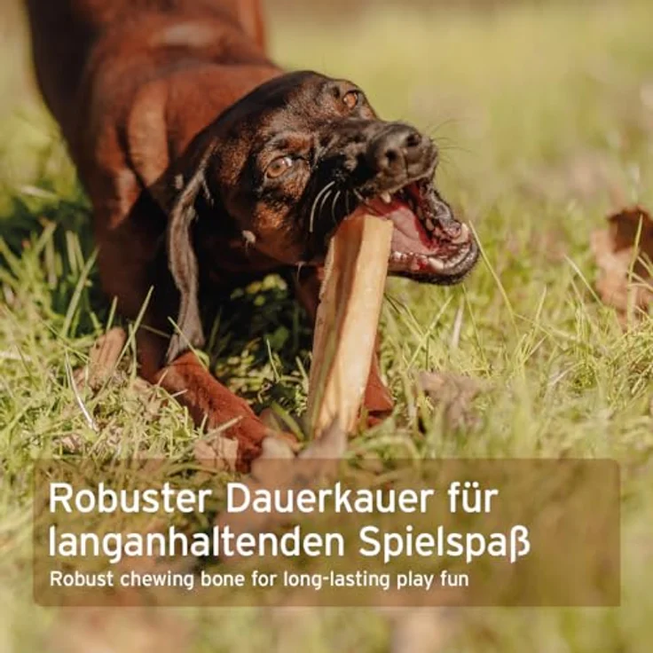 AniForte Käsekauknochen für Hunde, 146 g, 100% natürliche Zutat, gluten- und zuckerfrei, laktosearm, vegetarisch, für Allergiker geeignet – Bild 6