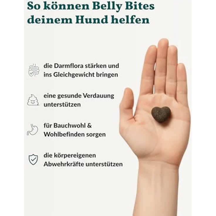 vetevo Belly Bites 2.0, Verdauungssnacks für Hunde mit Flohsamenschalen, Heilmoor & Probiotika, zur Unterstützung der Darmflora, mit Ente – 300 g Dose – Bild 4