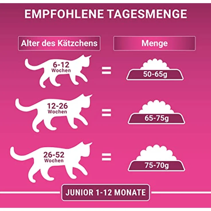 PURINA ONE Junior 1–12 Monate, Katzentrockenfutter reich an Huhn, 750g Beutel, unterstützt gesunde Entwicklung und Abwehrkräfte – Bild 4