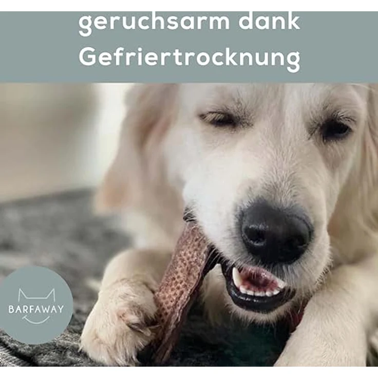 BARFAWAY gefriergetrocknete Hühnerherzen, gesunde Hundeleckerlies, 100% natürlich, getreidefrei, zuckerfrei, Deutsche Herstellung, 3er Pack (3 x 250 g) – Bild 4