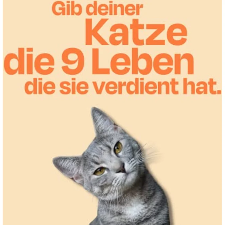 The Better Cat Super Premium Trockenfutter für Katzen - Getreidefreies Katzenfutter mit hohem Fleischanteil, ohne Zucker, mit Probiotika (400g, Huhn) – Bild 4