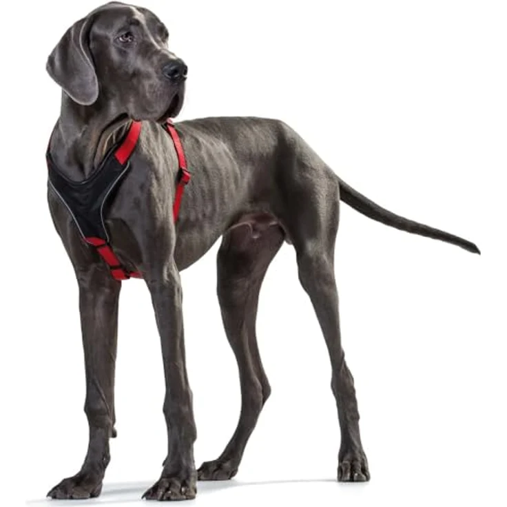 Hunter Hunde-Geschirr Neopren braun-karamell XS – Bild 9