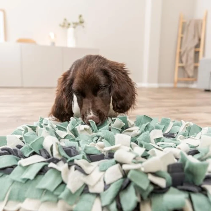 Trixie Activity Schnüffelteppich – Bild 5