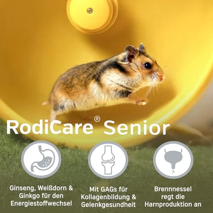 Alfavet Rodicare Senior, Ergänzungsfuttermittel für ältere Kaninchen, Meerschweinchen und Kleinnager, mit Ginseng, Ginkgo, Weißdorn, Zuckerfrei, Tonikum mit Dosierspritze, 20 ml – Bild 3