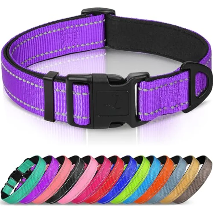 Joytale Hundehalsband Gepolstert aus Neopren Nylon, Verstellbar und Reflektierend, für Kleine Hunde, S, Lila – Bild 1