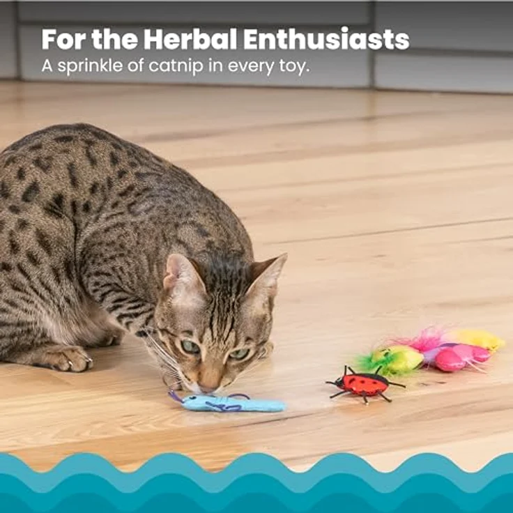 Catstages Cute As A Bug 6Pk Mlt, Katzenspielzeuge mit Katzenminze und verschiedenen Spielmerkmalen – Bild 3