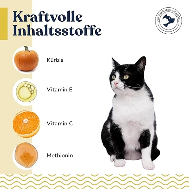 Felmo Blasen- & Nierenpaste für Katzen (100g), natürliche Unterstützung für Harnwege mit Kürbis und Vitamin C, zur Stärkung des Immun- und Harnsystems – Bild 2