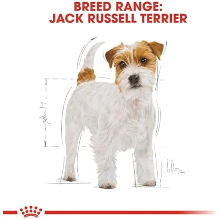 Royal Canin Jack Russell Terrier Adult, Trockenfutter für Hunde, 3kg, speziell für Jack Russell Terrier – Bild 4