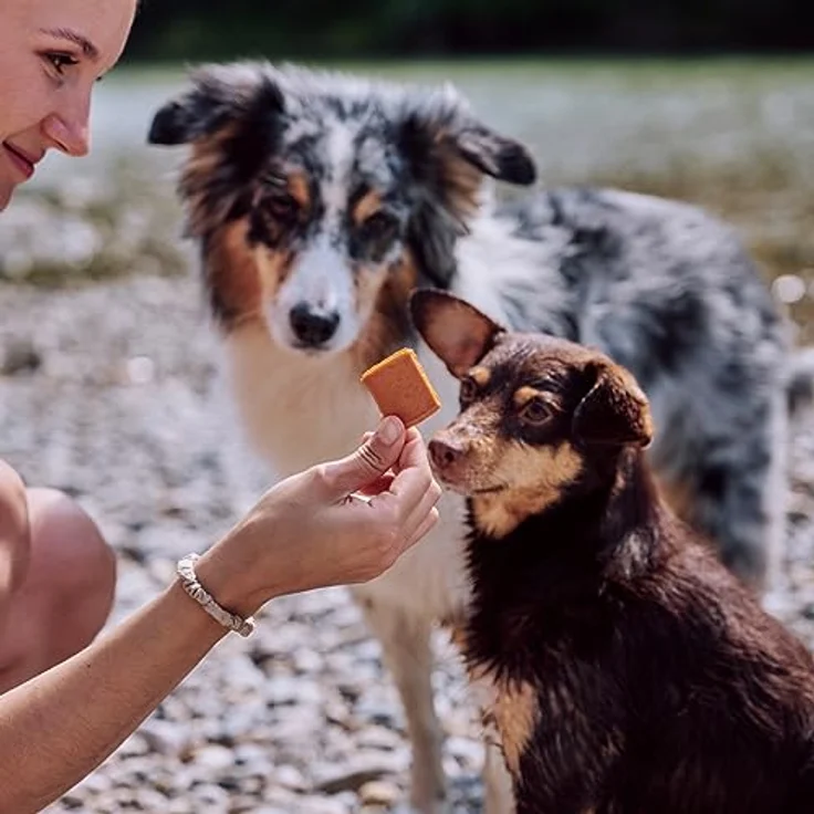VEGDOG Jerkeys hypoallergener Hundesnack, 100% vegan mit Buchenholz Rauch, 9 x 80 g, glutenfrei, für Allergiker mit Karotte und Gemüse – Bild 4