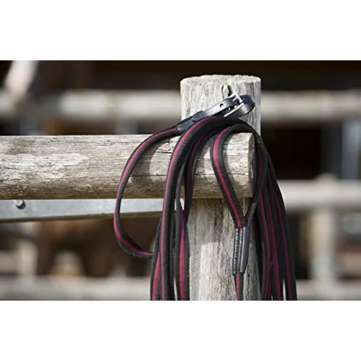 Kieffer Führleine Longierleine Anja Beran - schwarz/burgund, Soft-Longierleine ohne Wirbel, 100 % rostfrei. – Bild 3
