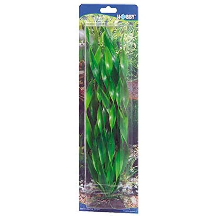 HOBBY Aquariendeko Vallisneria, 46 cm Kunststoffpflanze mit natürlicher Bewegung für Aquarien – Bild 2
