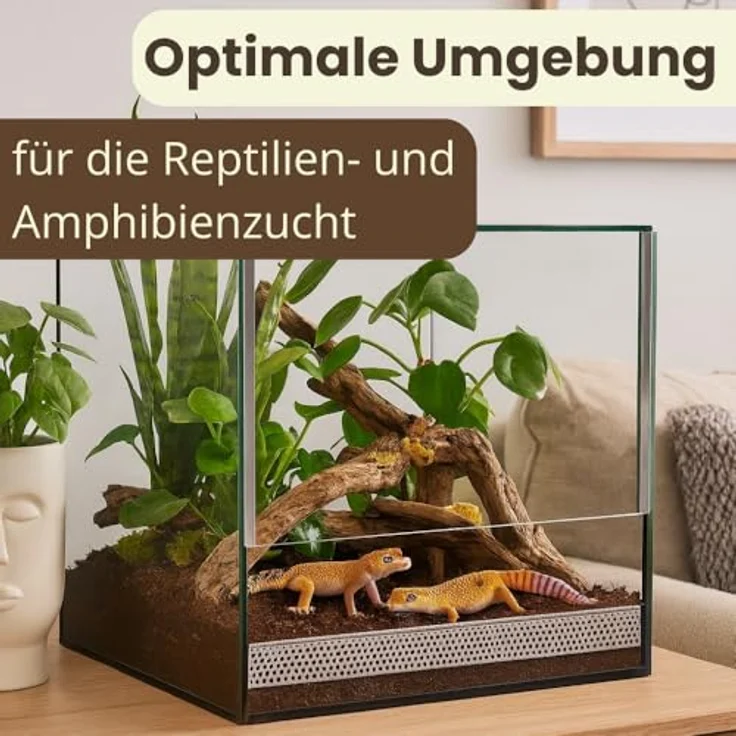 GarPet Terrarium 30x30x30 cm, Glas Terrarium für Schnecken, Spinnen und Amphibien mit Belüftung und Falltür, ideal für Pflanzen und Reptilienbecken – Bild 3