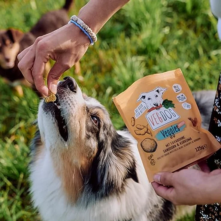 VEGDOG Veggies Immune, hypoallergener Hundesnack (10 x 125 g) | Getreidefrei, veganer Trainingssnack für starkes Immunsystem mit Kartoffel und Sanddorn – Bild 4